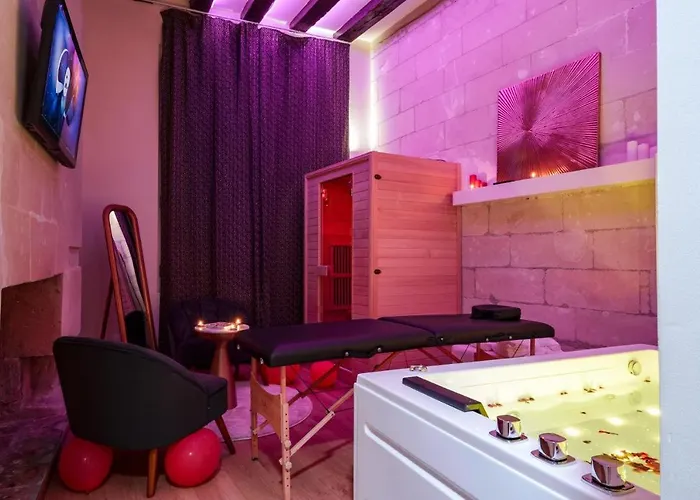 La Plume D'amour- Au Coeur Du Vieux Lejlighed Tours