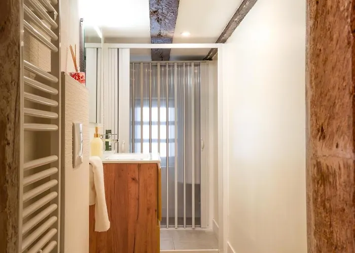 La Plume D'amour- Au Coeur Du Vieux Lejlighed Tours