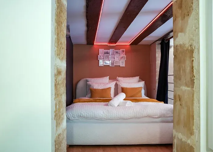 La Plume D'amour- Au Coeur Du Vieux Tours